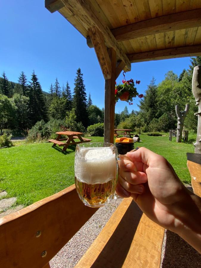 Pension Erban Špindlerŭv Mlýn Dış mekan fotoğraf